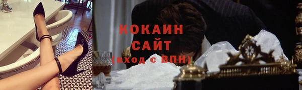 кокс Алексин