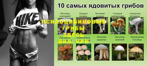 индика Алексеевка