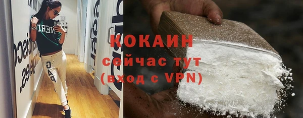 кокс Алексин