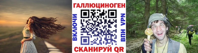 Псилоцибиновые грибы мицелий кракен как зайти Елабуга