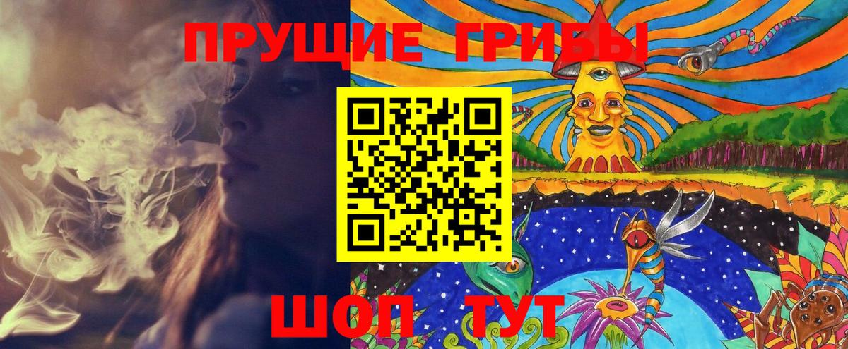 что такое наркотик  Галлюциногенные грибы Magic Shrooms  Вход с VPN  Елабуга 