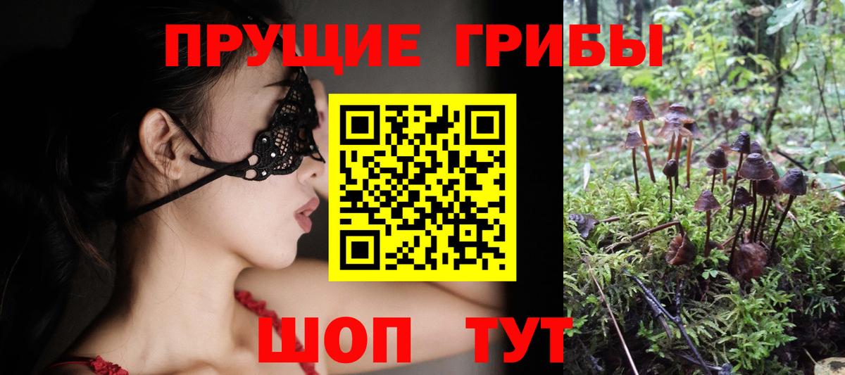 Псилоцибиновые грибы Psilocybine cubensis Елабуга